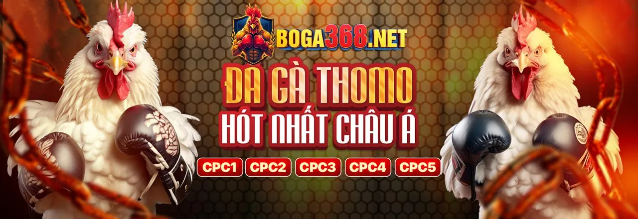 Đội ngũ chuyên gia của 88live link vào