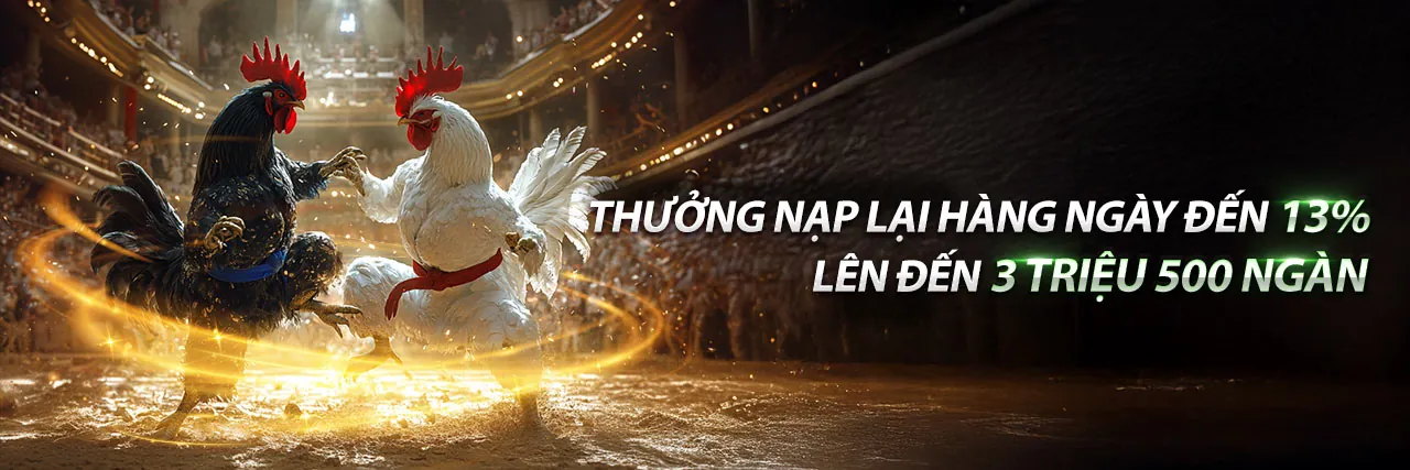 Sân đấu gà trực tiếp sôi động tại 88live